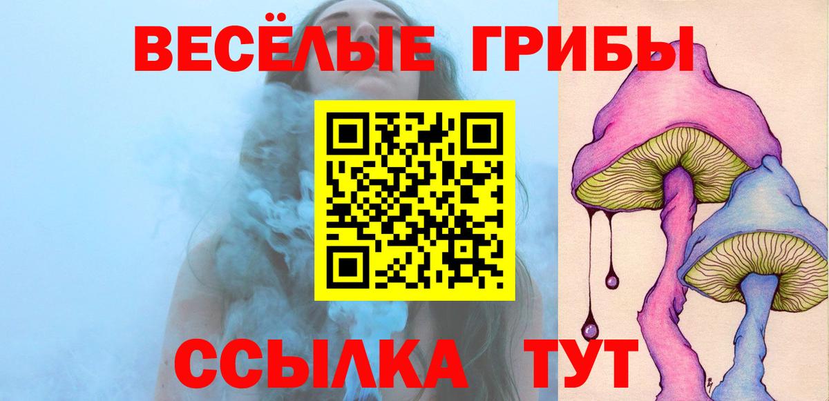 Галлюциногенные грибы Psilocybe Муром